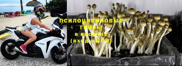 молекула духа Алексеевка
