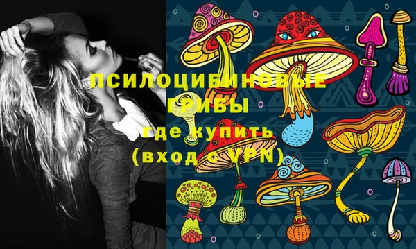 apvp Абдулино