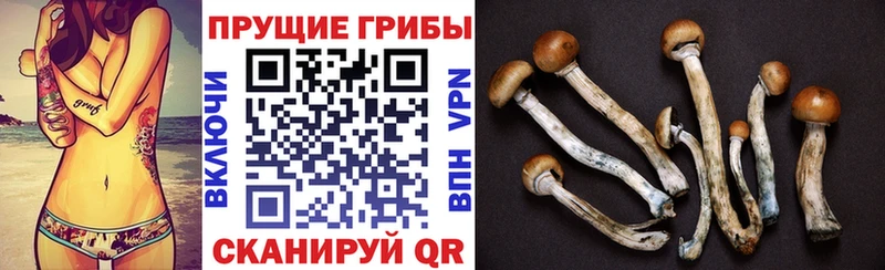 Галлюциногенные грибы GOLDEN TEACHER  Опочка 